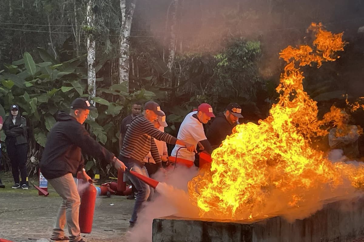 Cena realista de treinamento de sobrevivência na selva com um pequeno grupo de comissários em uniforme neutro e coletes, em clareira úmida na floresta tropical, montando abrigo improvisado com lona e cordas ao lado de um riacho; um instrutor aponta um mapa e gesticula orientando prioridades; equipamentos de segurança e mochila no chão, fumaça leve de uma fogueira controlada ao fundo; atmosfera tensa porém organizada, foco em trabalho em equipe e liderança; estilo fotográfico documental, cores naturais, alta nitidez, iluminação suave de fim de tarde filtrada pelas árvores, profundidade de campo moderada; enquadramento horizontal 3:2, composição em regra dos terços, sem texto, sem logotipos, sem marcas d’água